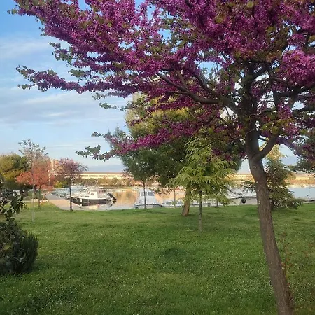 Διαμέρισμα Dario