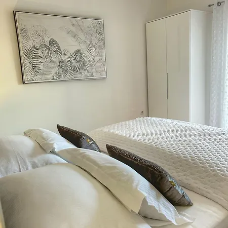 Dario * Ζαντάρ