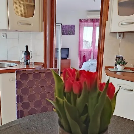 Dario Apartment Zadar