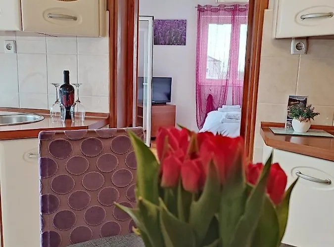 Dario Apartment Zadar